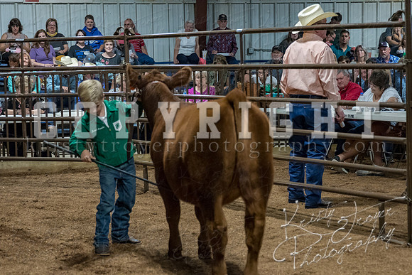 mayes_county_fair_premium_sale_2282