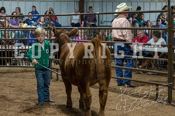mayes_county_fair_premium_sale_2283