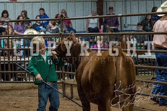 mayes_county_fair_premium_sale_2284