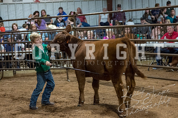 mayes_county_fair_premium_sale_2285