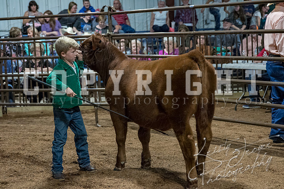 mayes_county_fair_premium_sale_2286