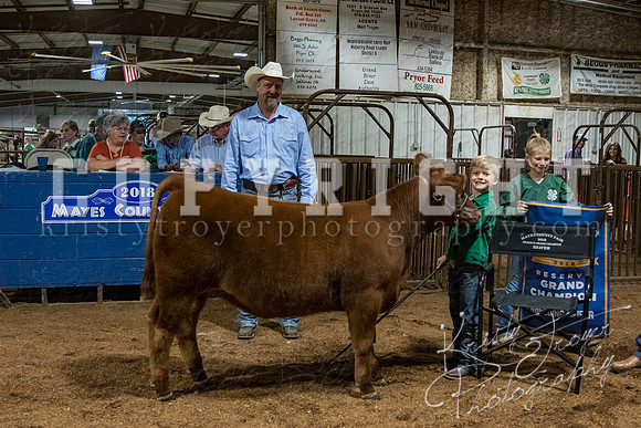 mayes_county_fair_premium_sale_2287