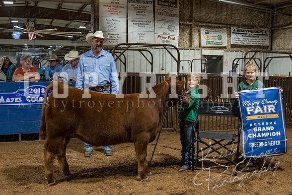 mayes_county_fair_premium_sale_2288