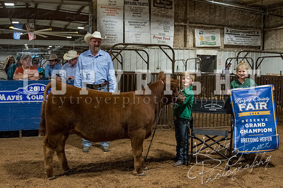 mayes_county_fair_premium_sale_2289
