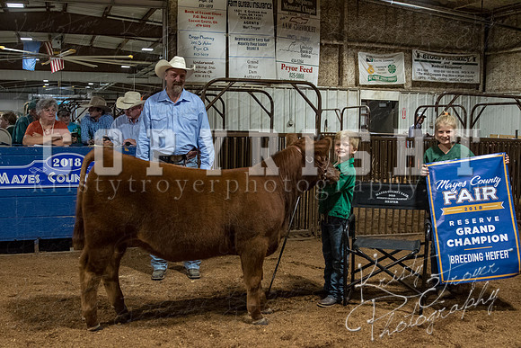 mayes_county_fair_premium_sale_2290