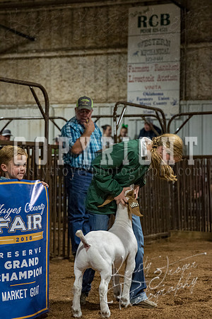 mayes_county_fair_premium_sale_2291