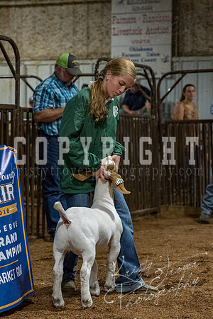 mayes_county_fair_premium_sale_2292