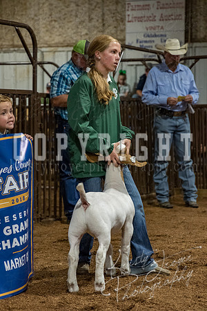 mayes_county_fair_premium_sale_2293