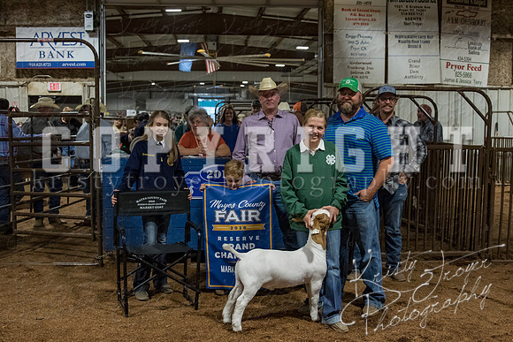 mayes_county_fair_premium_sale_2294