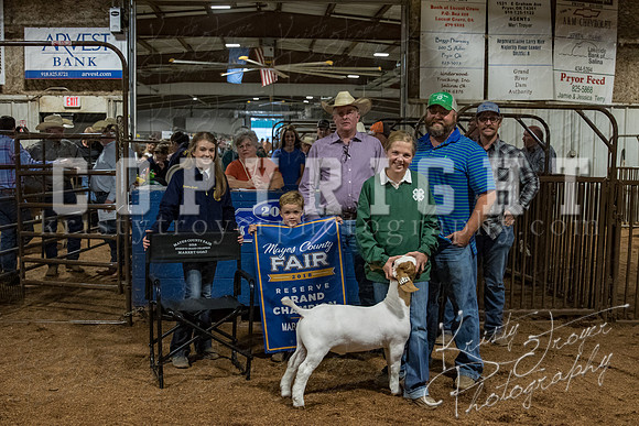 mayes_county_fair_premium_sale_2295