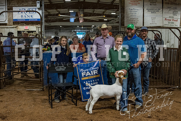 mayes_county_fair_premium_sale_2297
