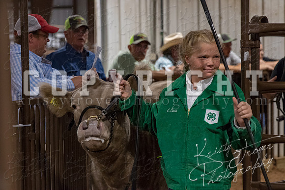 mayes_county_fair_premium_sale_2298