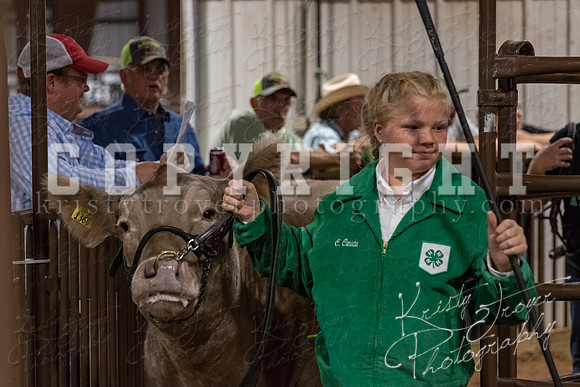 mayes_county_fair_premium_sale_2299