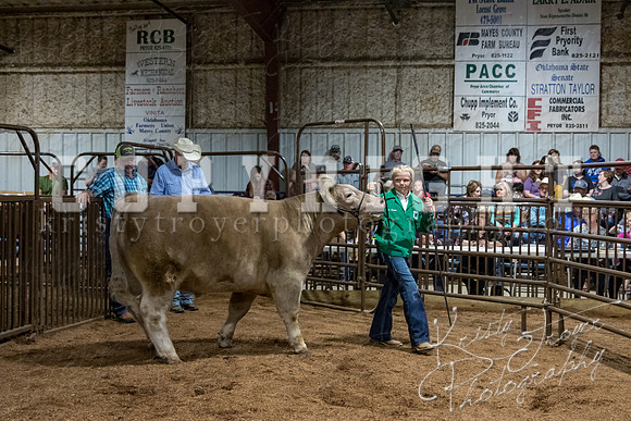 mayes_county_fair_premium_sale_2300