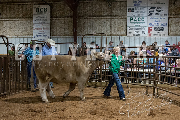 mayes_county_fair_premium_sale_2301