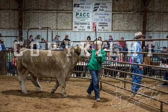 mayes_county_fair_premium_sale_2302