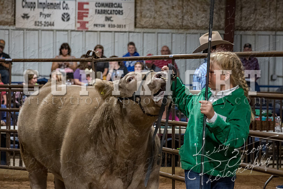 mayes_county_fair_premium_sale_2303