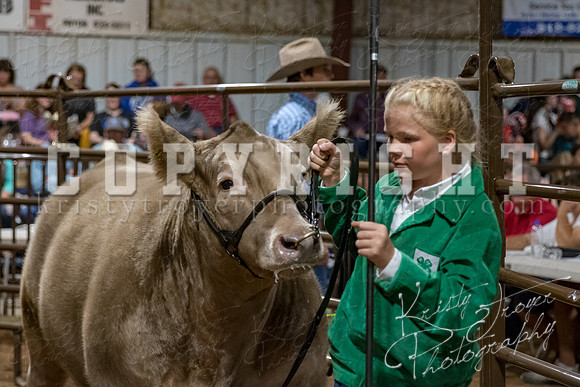 mayes_county_fair_premium_sale_2304