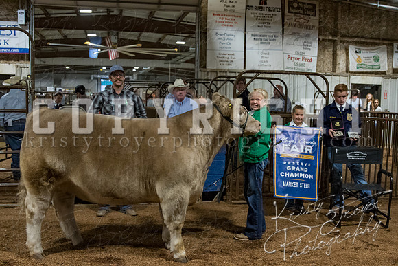 mayes_county_fair_premium_sale_2307