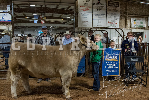 mayes_county_fair_premium_sale_2308