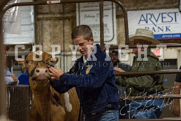 mayes_county_fair_premium_sale_2309