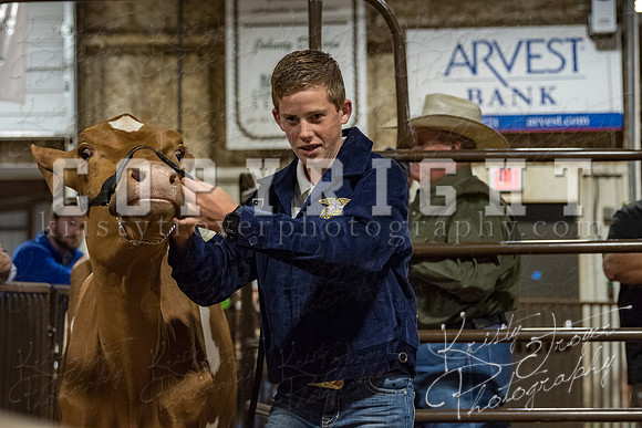 mayes_county_fair_premium_sale_2310