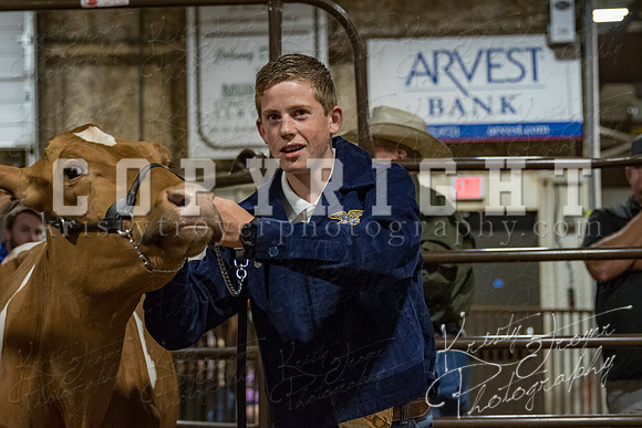 mayes_county_fair_premium_sale_2311