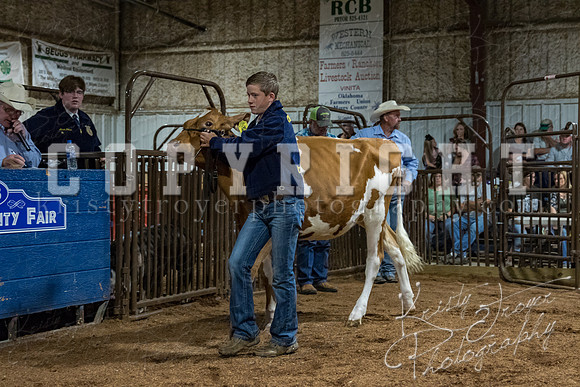 mayes_county_fair_premium_sale_2312