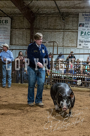 mayes_county_fair_premium_sale_2313