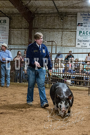 mayes_county_fair_premium_sale_2314