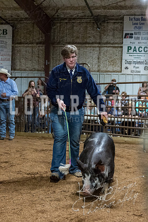 mayes_county_fair_premium_sale_2315