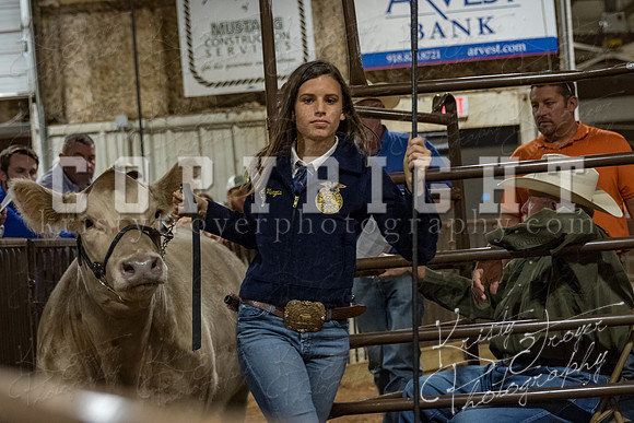 mayes_county_fair_premium_sale_2316