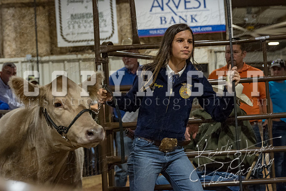 mayes_county_fair_premium_sale_2317