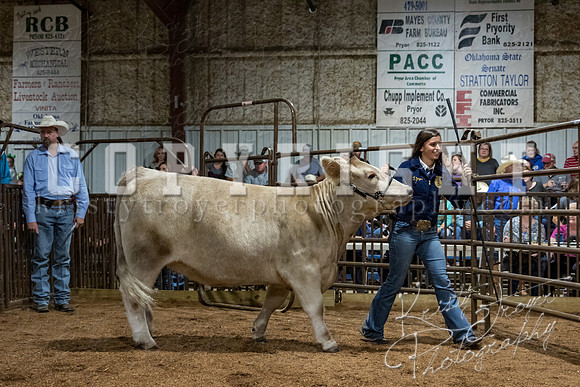 mayes_county_fair_premium_sale_2318