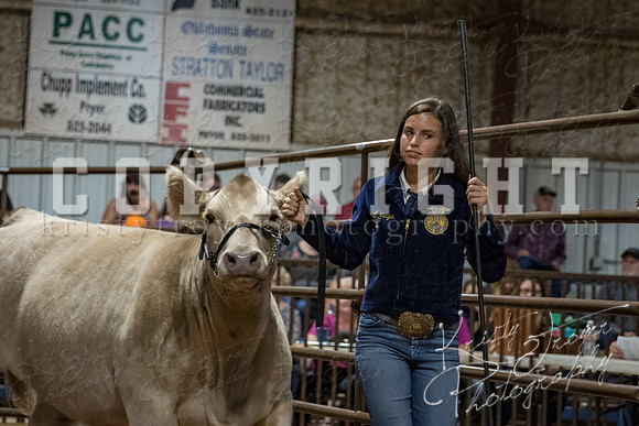 mayes_county_fair_premium_sale_2319