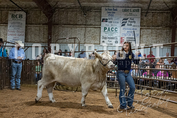 mayes_county_fair_premium_sale_2320