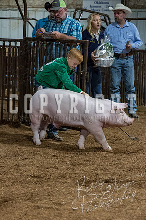 mayes_county_fair_premium_sale_2321