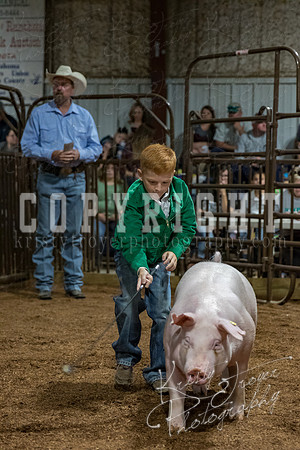 mayes_county_fair_premium_sale_2323