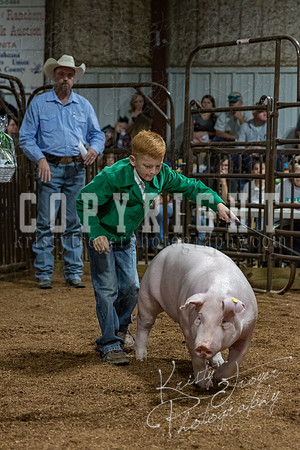 mayes_county_fair_premium_sale_2322