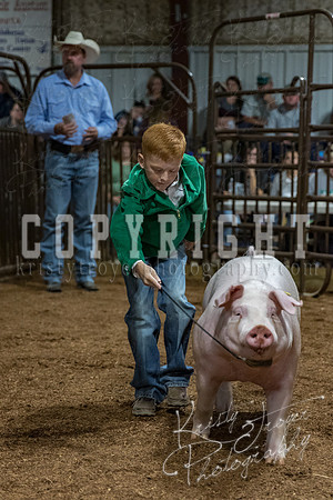 mayes_county_fair_premium_sale_2324