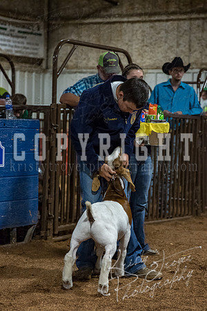 mayes_county_fair_premium_sale_2326