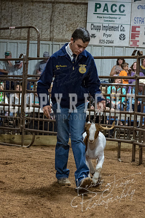 mayes_county_fair_premium_sale_2325