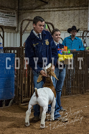mayes_county_fair_premium_sale_2327