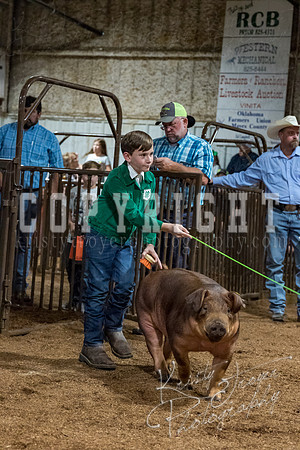 mayes_county_fair_premium_sale_2328