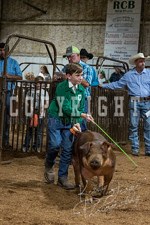 mayes_county_fair_premium_sale_2329