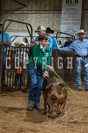 mayes_county_fair_premium_sale_2330