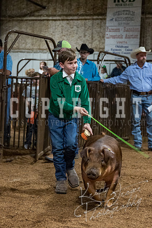 mayes_county_fair_premium_sale_2331