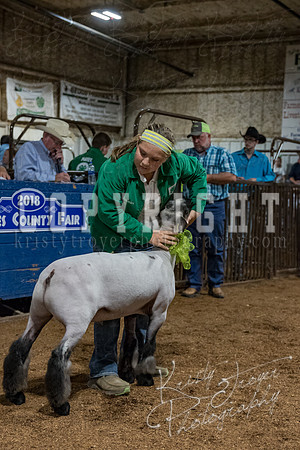 mayes_county_fair_premium_sale_2332