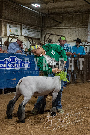 mayes_county_fair_premium_sale_2333