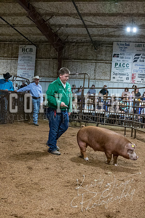 mayes_county_fair_premium_sale_2334